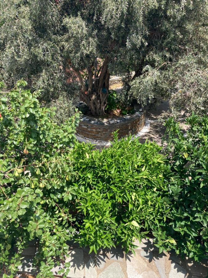 Aladhinon Agkyra Rooms מראה חיצוני תמונה